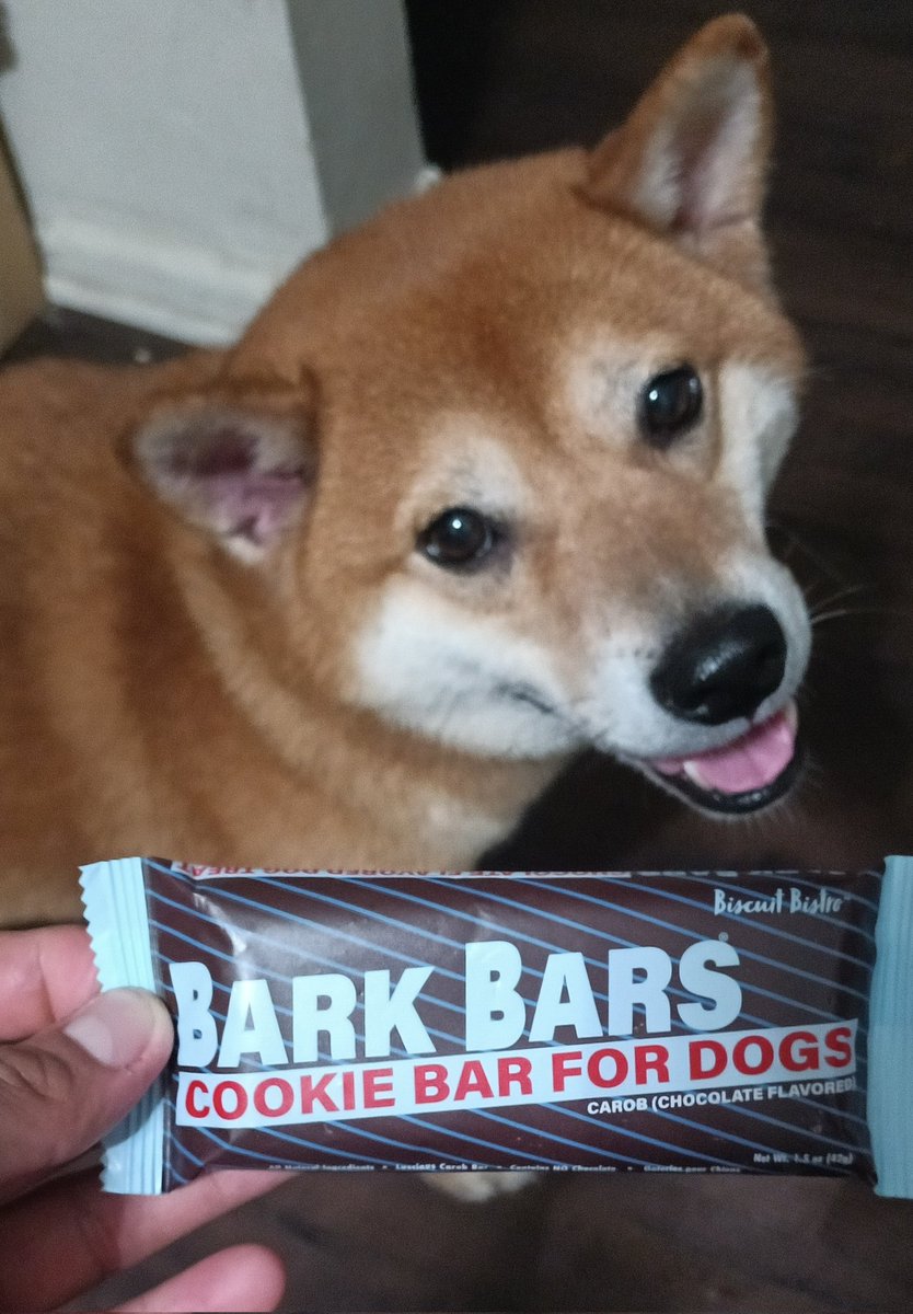 BirdysCreations's tweet photo. Did anybody else know they sold chocolate bars for dogs? https://t.co/LrEROr52QX