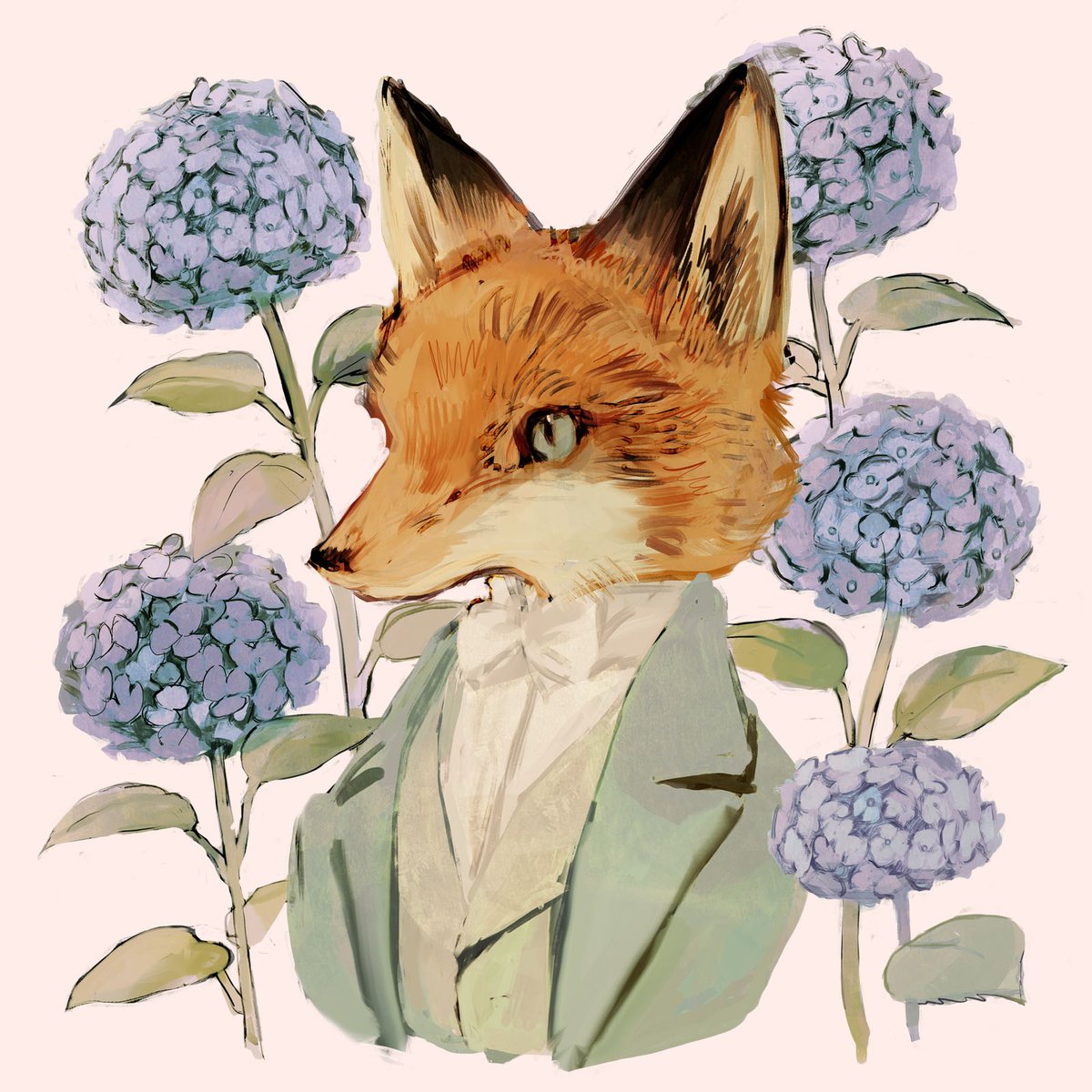 flower hydrangea clothed animal animal focus fox white background no humans  illustration images