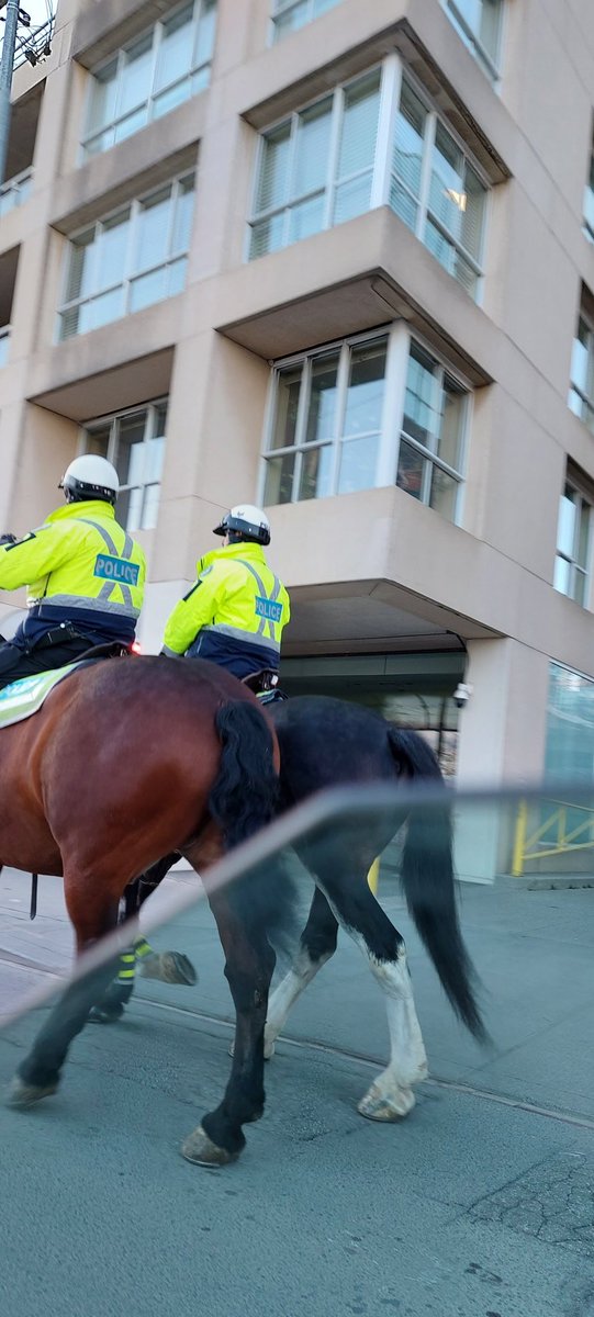 Jen LaPlante tweet media