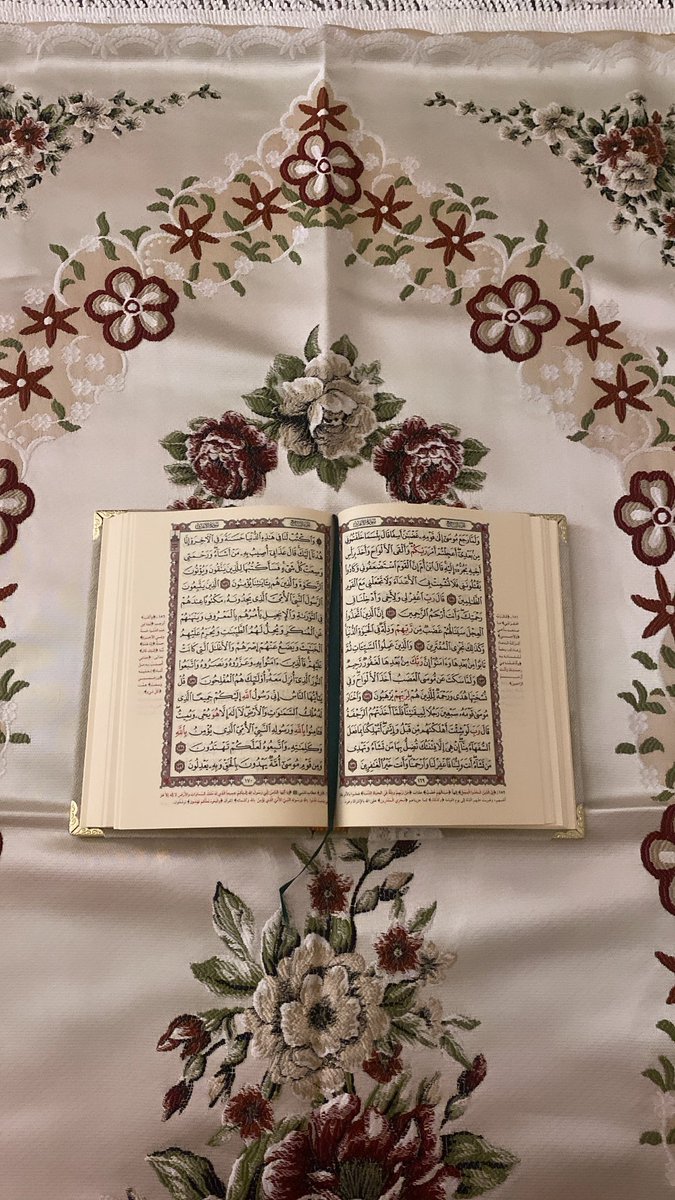 NweenTeachar's tweet photo. طمأنينة 🌱 https://t.co/Bx97p7yv6S