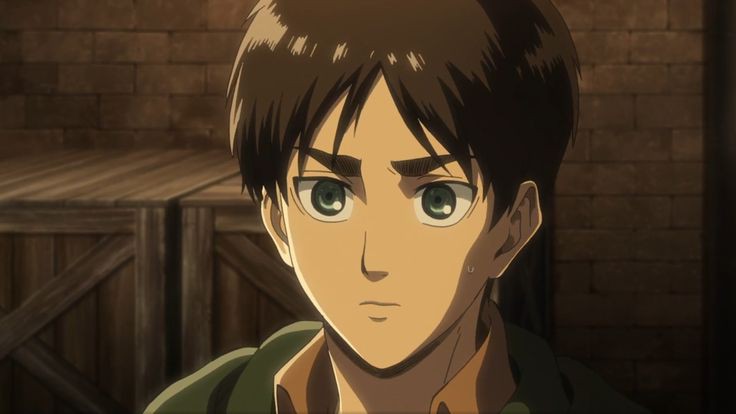 エレン tweet media