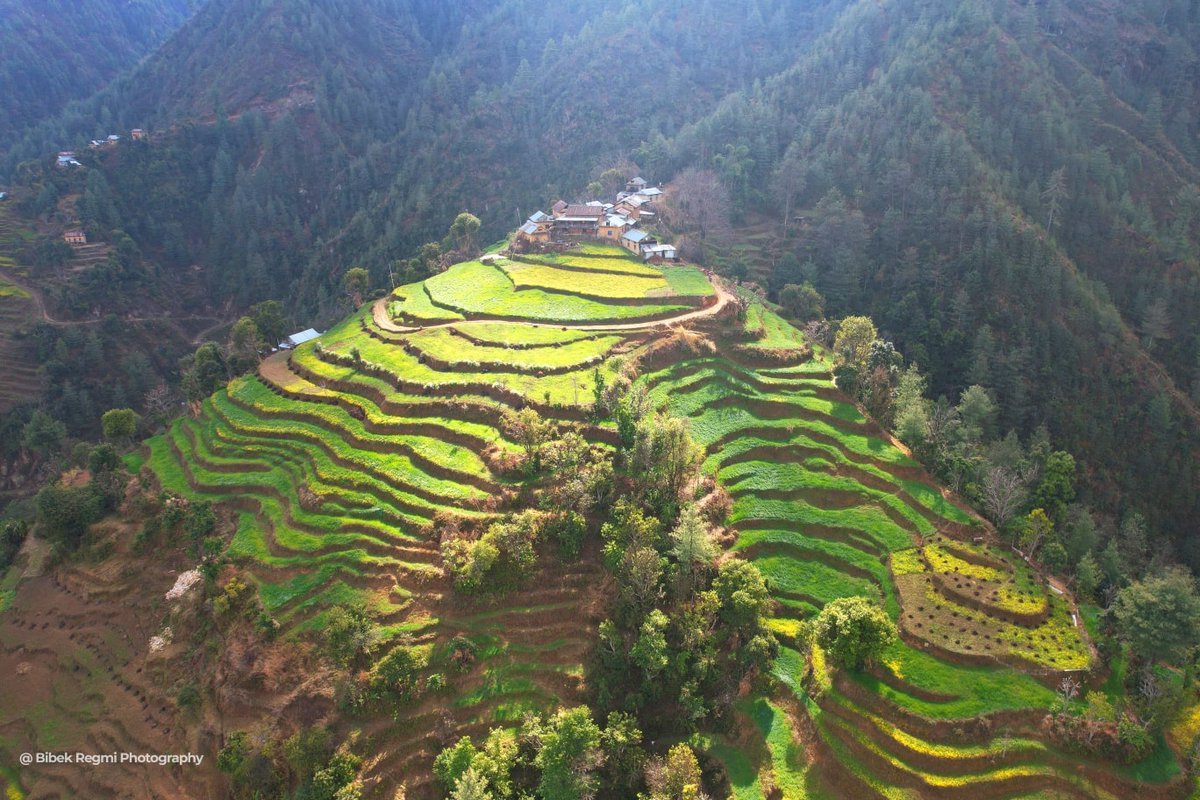 A beautiful village at Bethanchowk, Kavre which is just around 50K.M. SE from Kathmandu. 
Photographed By: Bibek Regmi
#bethanchowk #nepal #visitnepal #sulavyatra