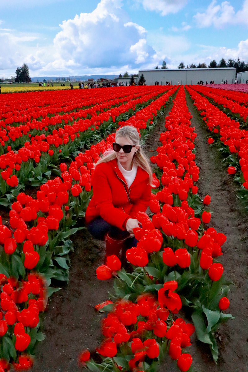 April is the season of tulips 🌷🌷🌷 #tulips #skagitvalley