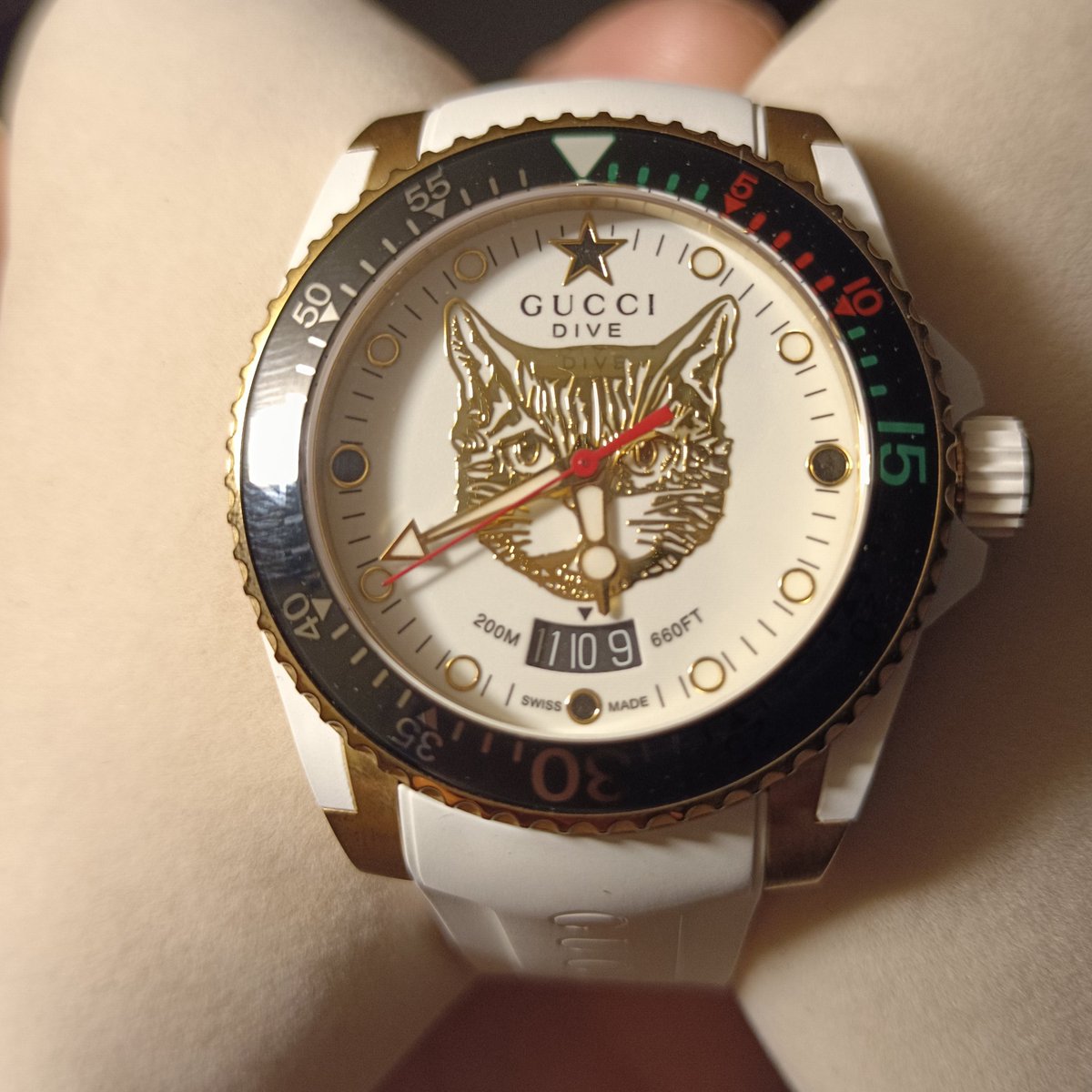 shattergurl's tweet photo. Picked up a nice #gucci watch in South Korea on my way back from Laos. Gotta love that cat #gucciwatch https://t.co/6uFMq3CSf8