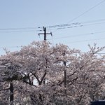 ツイートに含まれる画像