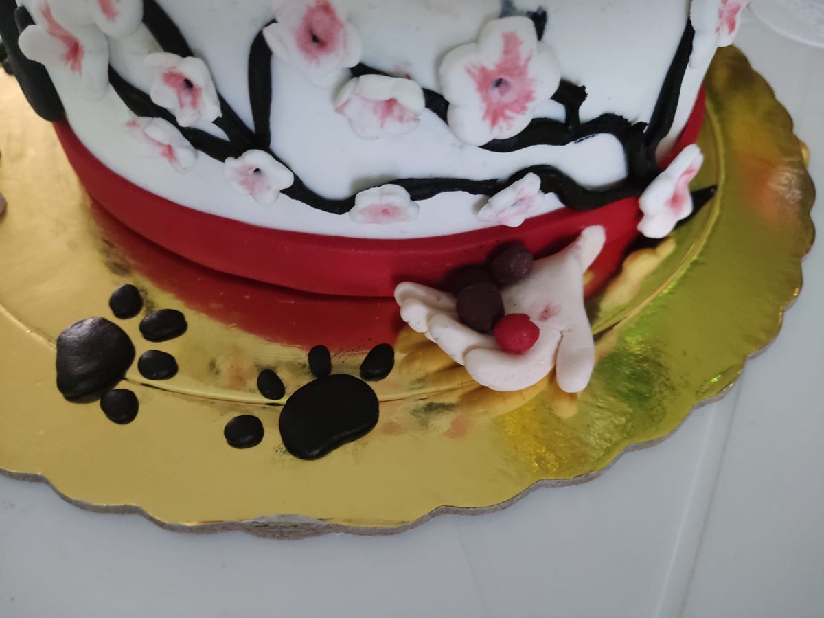 lizardoadan's tweet photo. A cake for my birthday with Korone in the center, there are also hands and bones
#ころねすきー https://t.co/xRwrHCLBkT