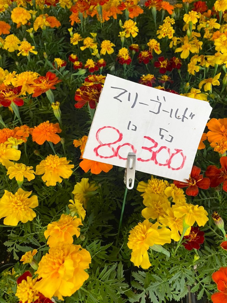 フラワーショップ吉田 Yoshidaflower Twitter