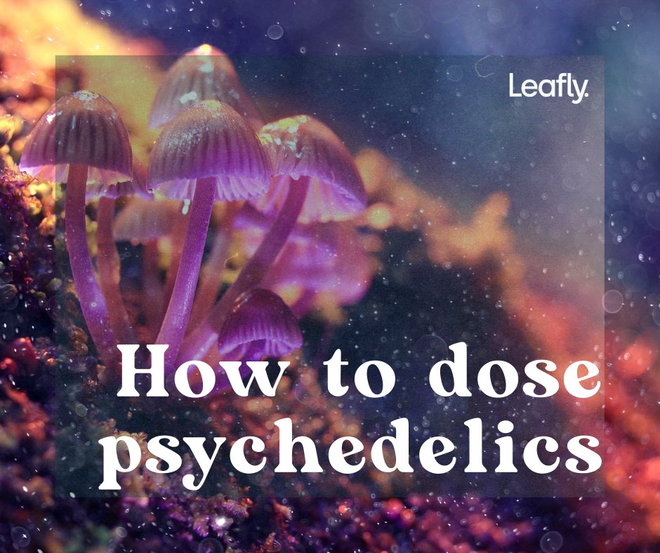 Leafly tweet picture