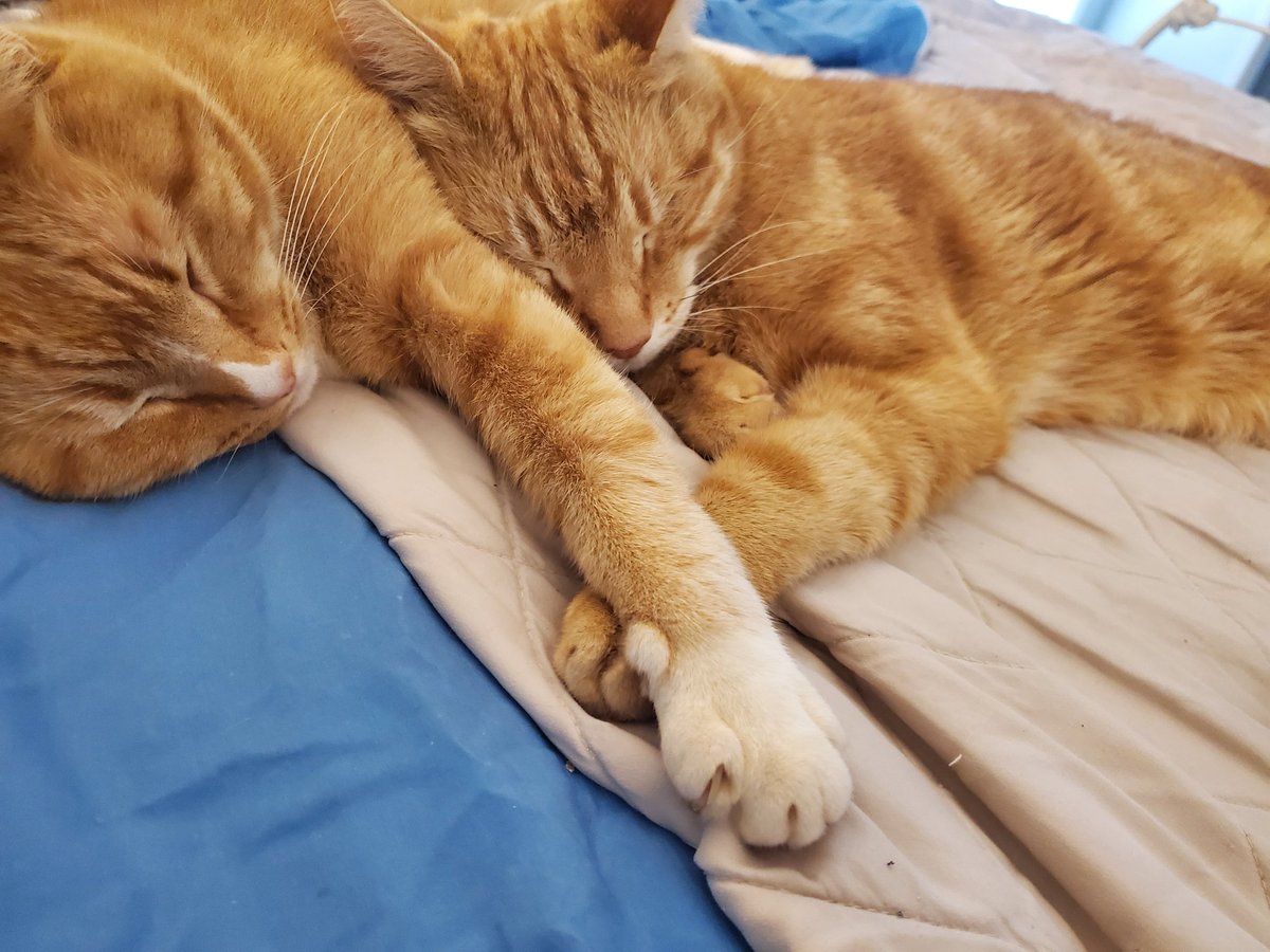 TSIDATSI tweet media