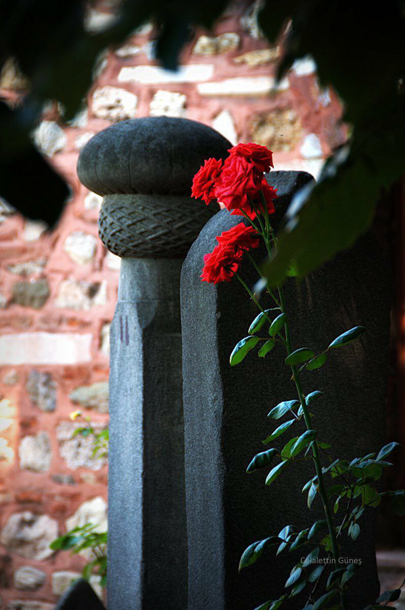 "Allah, seni hayal kırıklığına uğratmayan tek dayanaktır."
