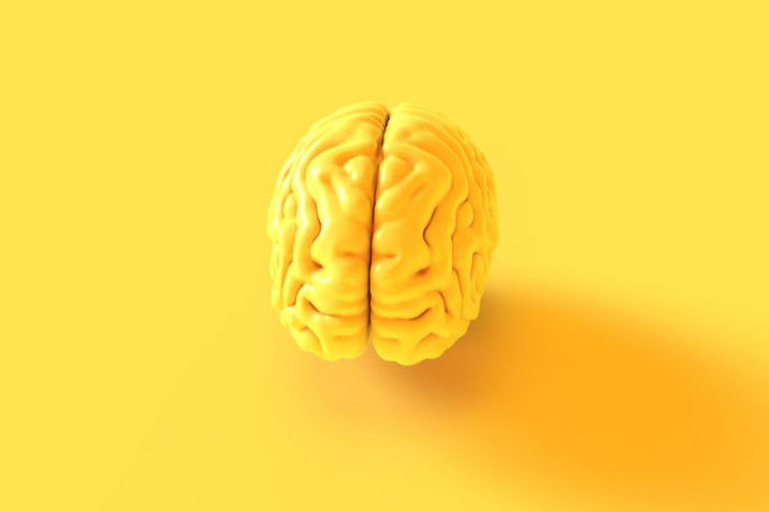 Qu'est ce que le Neuromarketing ? 

neuroconversions.com/case_study/que… 

#neuromarketing #neurosciences #neuroconversions