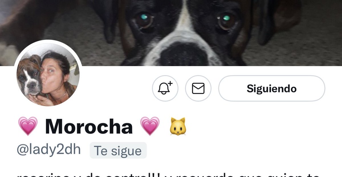 AleXCambiemos's tweet photo. Acabo de leer que se fue morocha @lady2dh  
QEPD 🙏 querida Amiga !!!
😢❤️🌹 https://t.co/QeXG4levp8