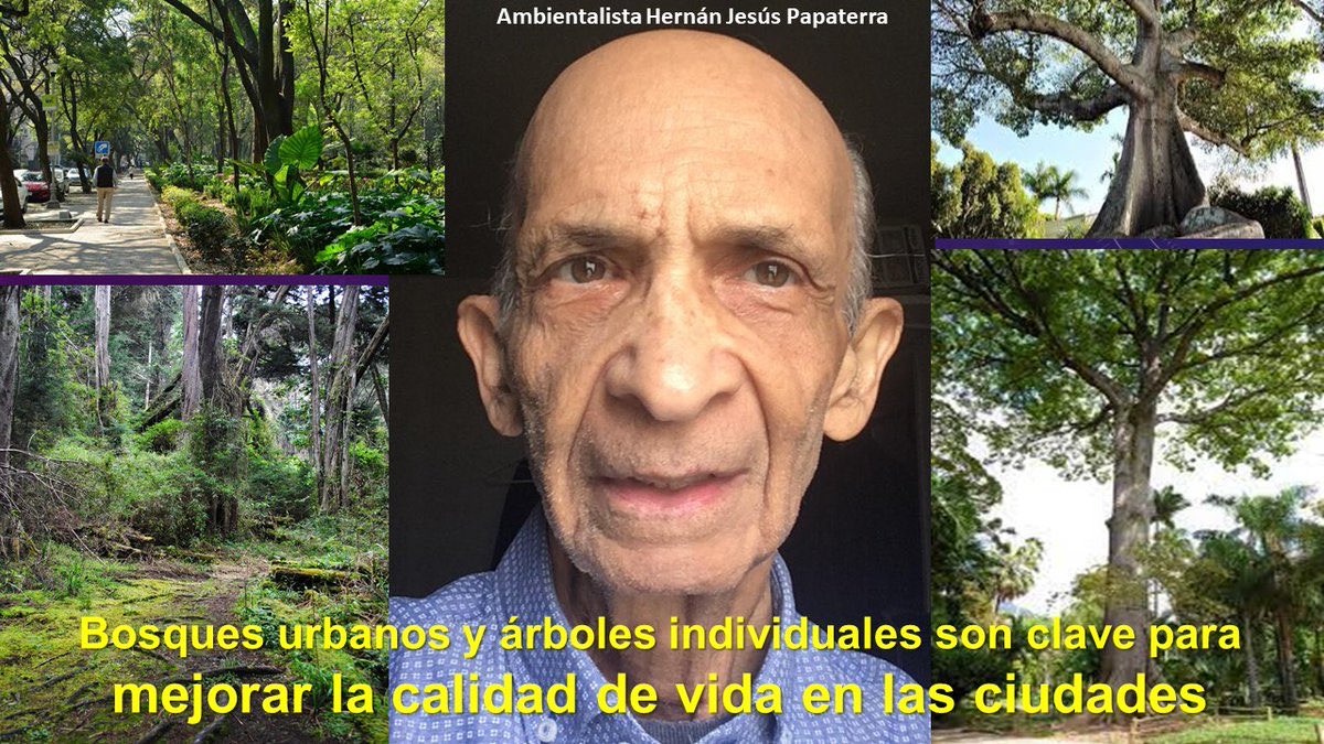 CmapVenezuela's tweet photo. Ha fallecido el Profesor Hernán Papaterra @hjpapaterra, educador, activista ambiental y un gran defensor de los árboles, colaborador y asesor de varias organizaciones ambientalistas #QEPD https://t.co/Zt4l44WNMb