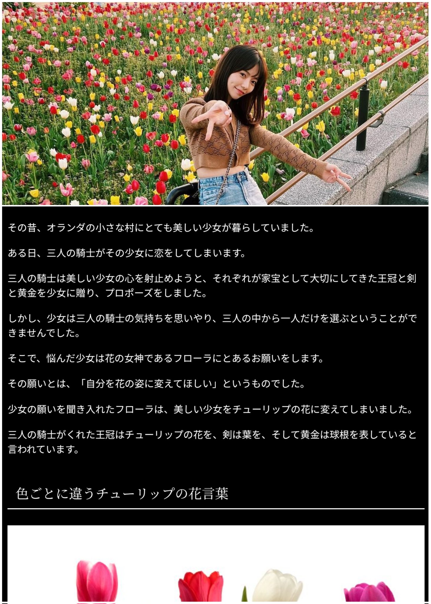 チューリップの花言葉 Twitter Search Twitter