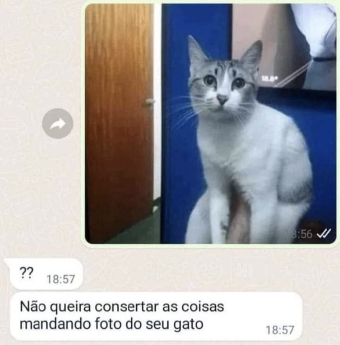 angelazissima's tweet photo. eu sou assim https://t.co/efWCuZs6CH