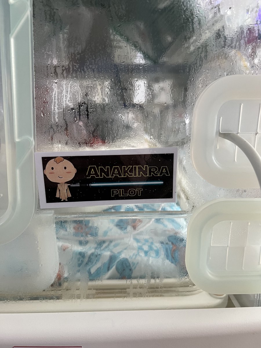 NoldLab's tweet photo. Did you know that worldwide fewer medicines are authorized for use in babies &amp; children when compared to adults? This needs to change! For this reason, we are so excited sharing the news - we recruited our first baby into the Anakinra trial for early life inflammatory diseases. https://t.co/yQVw3qsElY