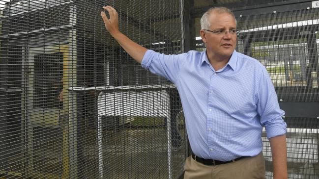 Coalition Tea Lady tweet media