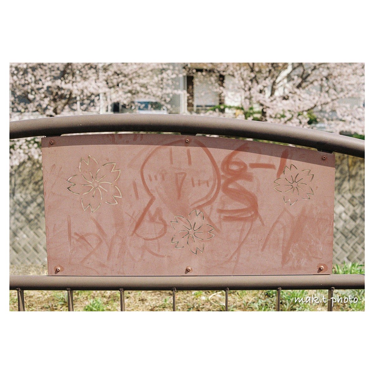 679_rtq's tweet photo. ぴーす

［location］#湘南
［film］#GOLD200
［camera］#MZ5 

#japan #photo #photography #filmphotography #film #film_jp #ファインダー越しの私の世界  #キリトリセカイ #日々フィルム #カメスズ #HeyLomography #yousawscenes #桜   #PENTAX #Kodak https://t.co/lPUDABGJlG