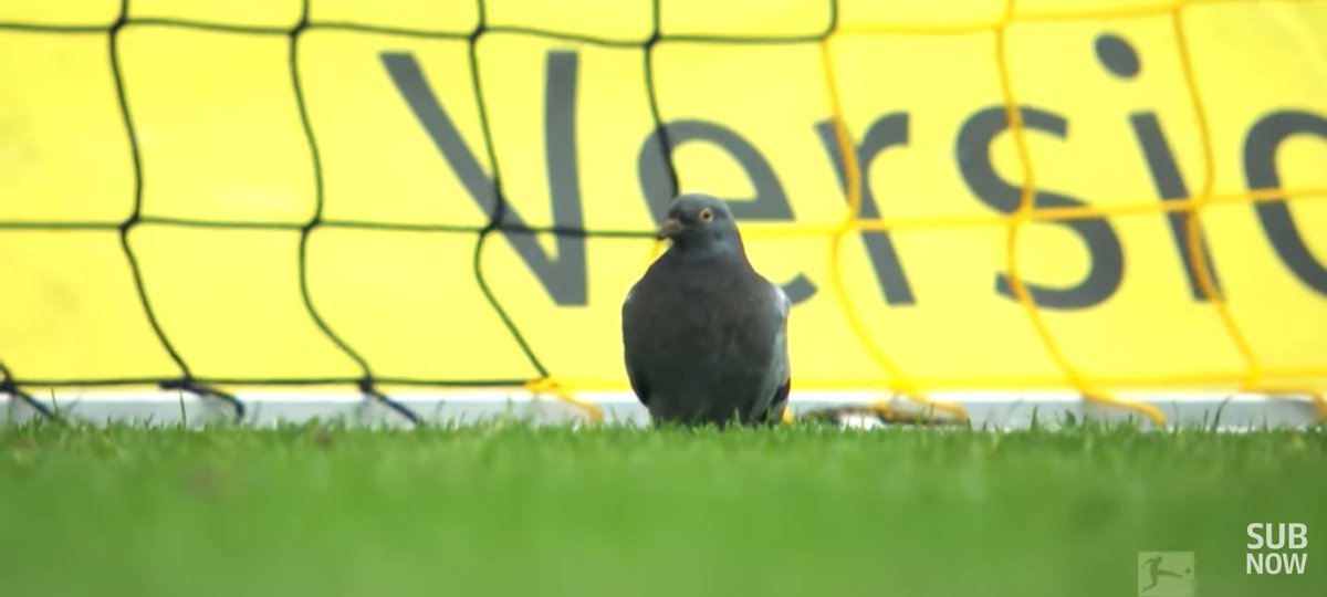 Bundesliga Insider tweet media