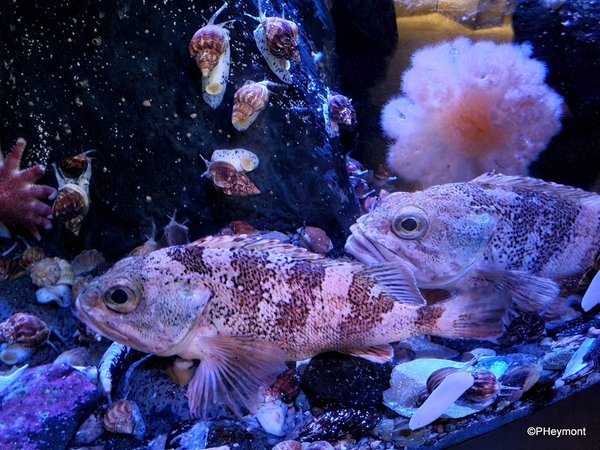TravelGumbo's tweet image. #LivingColor at #NewEnglandAquarium #ttot

TravelGumbo archives
By Travelers, For Travelers

travelgumbo.com/blog/living-co…