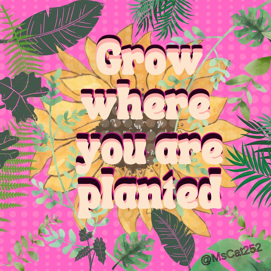catherine2020_'s tweet photo. "Grow where you are planted"

I keep reminding myself.
While being in an almost constant flux between that and "Begin Again"...

Multiple interpretations are always possible.
#KeepGoing 💙🚀
#HappySunday 🌻
#MsCat252 💋 https://t.co/XDhRnflPcj