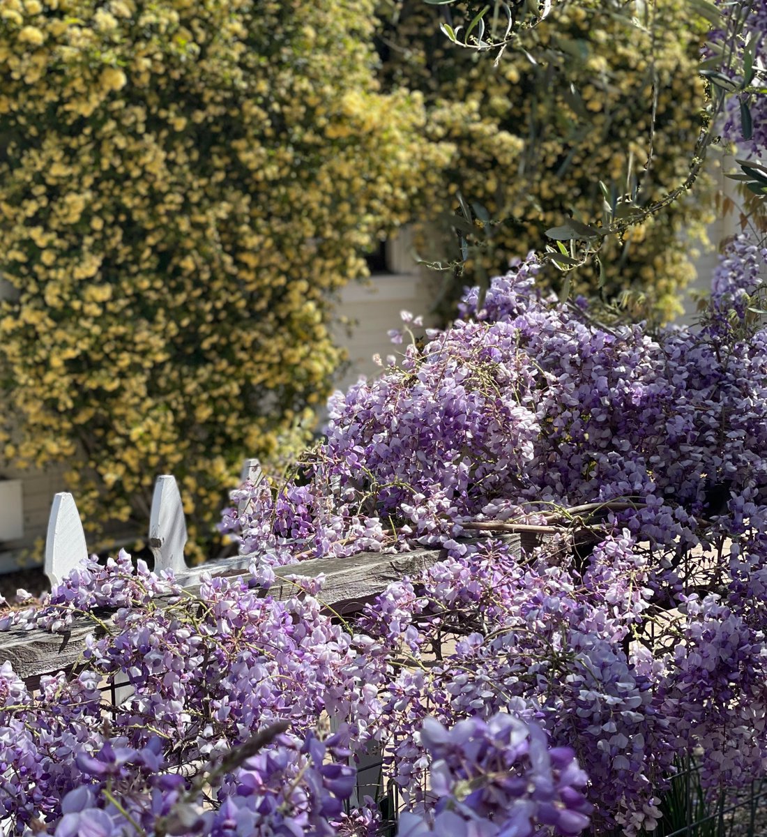 Springs MAC is moving to the second Wednesday of the month. Join us on zoom on May 11, 2022 at 6:30pm.