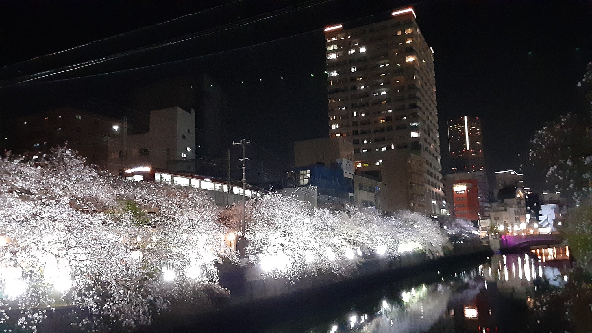 濱の西郷どん E Twitter