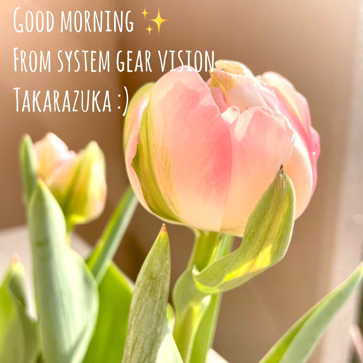 SystemGearVisi1's tweet photo. ãã¯ããããããŸãâš
ãœããœãã®å€ªéœãæ°æã¡ããå®å¡ã§ãâš
äžã®äººã®å®¶ã®ãã¥ãŒãªãããæšæ¥ããã®åå€ã®ãããªéœæ°ã§äžæ°ã«å²ãå§ããŸãã
æ°ããçæŽ»ã«ããããããŠããã¿ãªããã®äžå®ã
ç§ãã¡ã®èŠèŠæ¯æŽæ©åšã§å°ãã§ãè§£æ¶ãããæäŒããã§ããããšãé¡ã£ãŠâŠð
#èŠèŠæ¯æŽæ©åš
#systemgearvision https://t.co/oEANzlOf4o