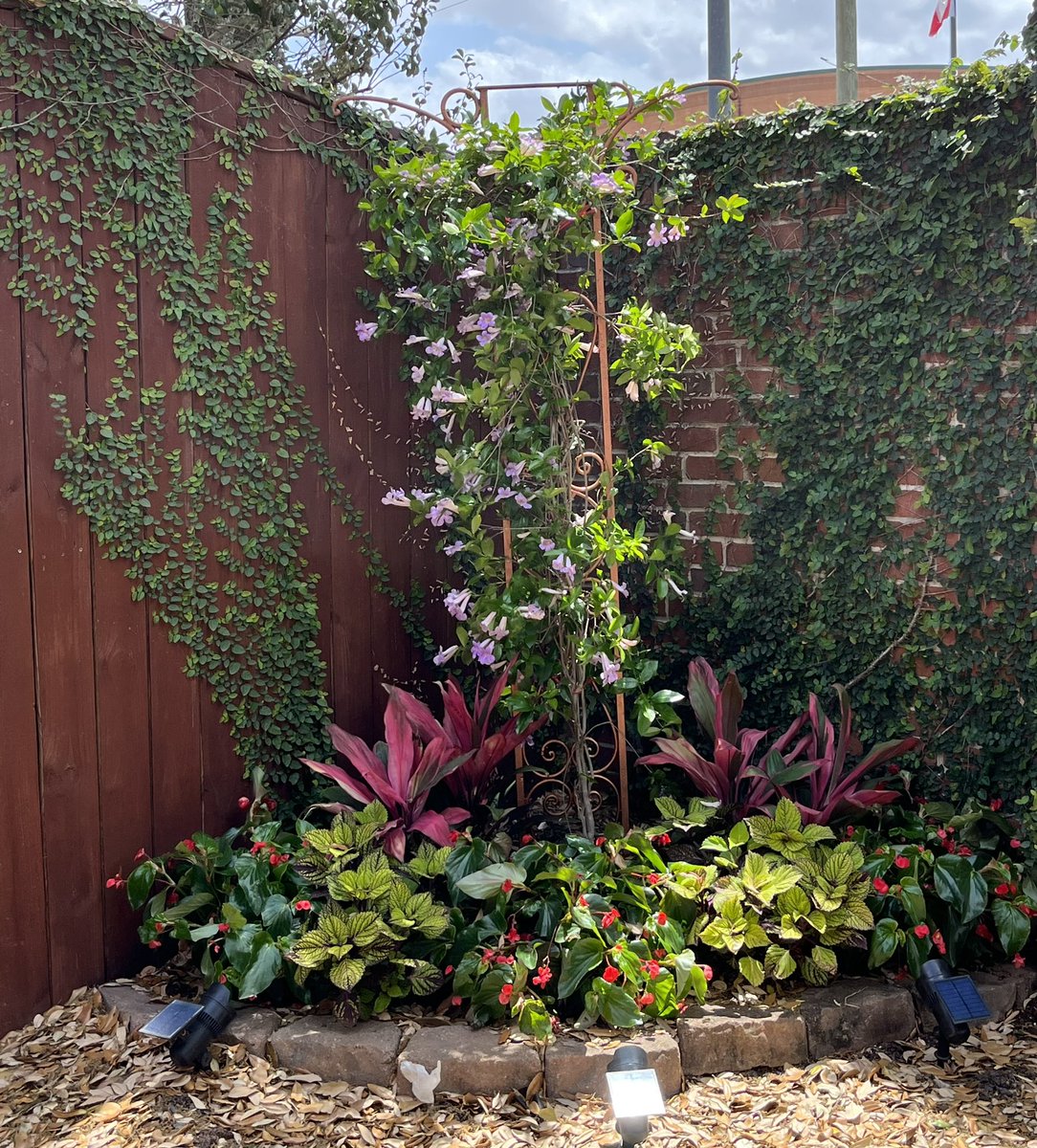 DawneAnn's tweet photo. Going through an environmental upgrade today. Enjoying the beautiful weather and flowers. #weather #beautiful #nature #NatureBeauty #SundayFunday https://t.co/4O2l0W9To3