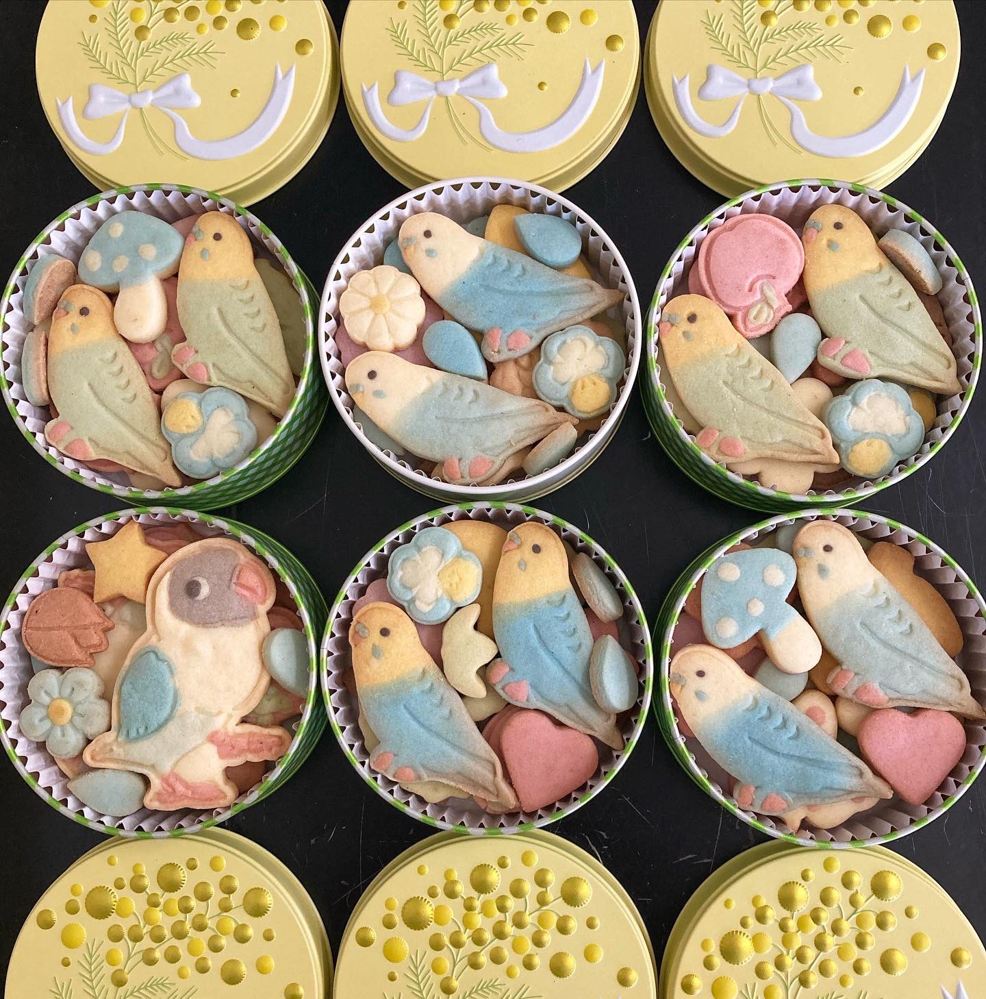 Twitter 上的 パンと和菓子のお店 Mochiri 可愛い鳥さんのクッキー缶達 セキセイインコ ボタンインコ T Co G8d5jzbiei Twitter