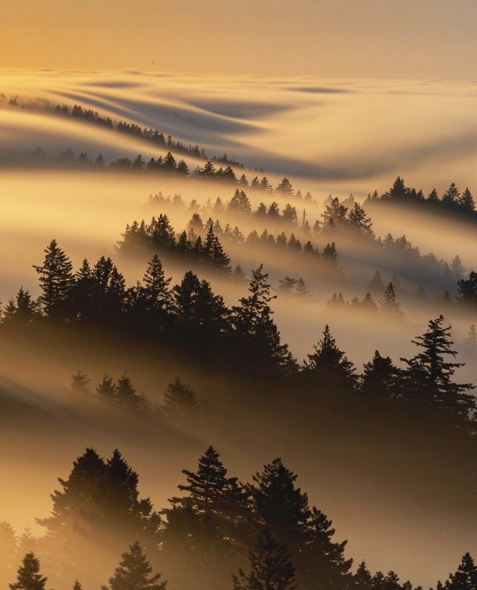 Sea of clouds rolling in 🌊