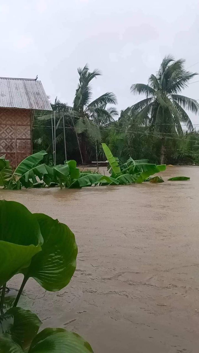 aeropressnitoni's tweet image. dahil sa walang humpay na ulan since last week pa. Some roads are also impassable. Haven&apos;t seen much coverage from the media yet also, prolly bec the region is so far. Pls help me spread this.

#EasternVisayasNeedsHelp 
#LeyteNeedsHelp
#BaybayNeedsHelp 
#AgatonPH