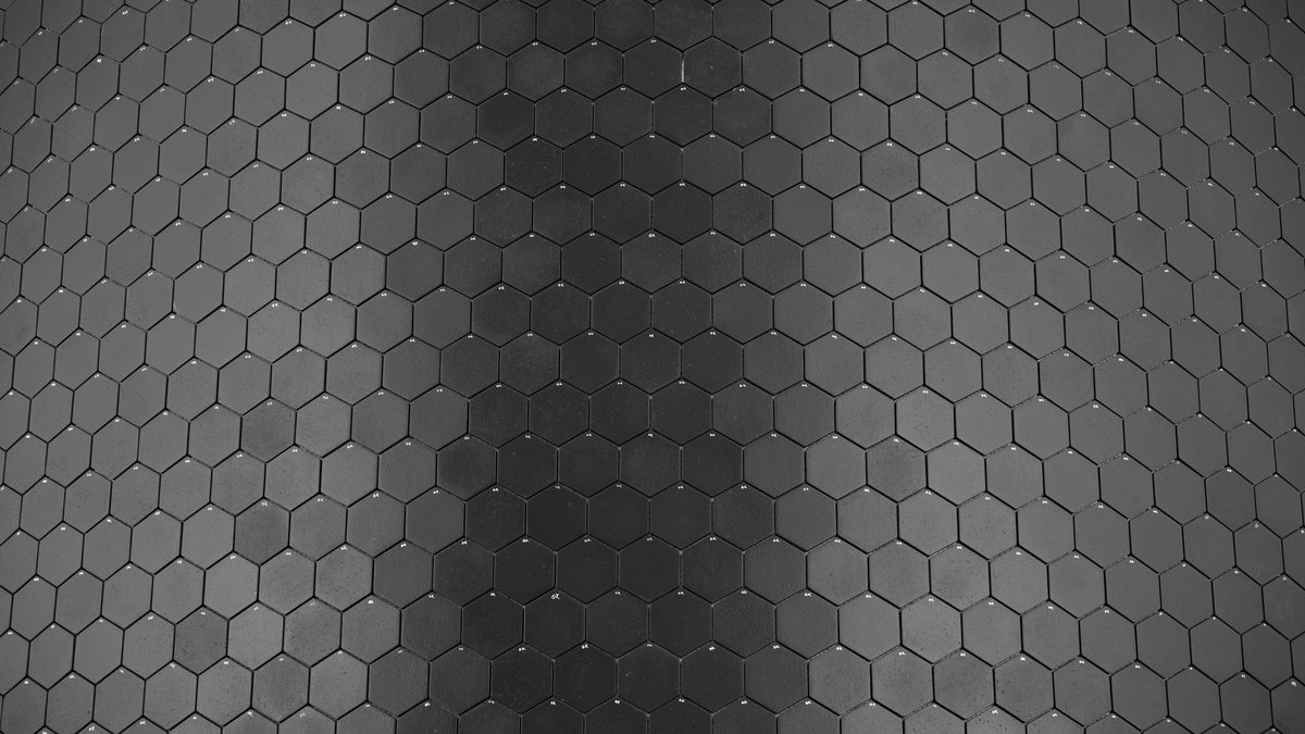 dearMoon tweet media