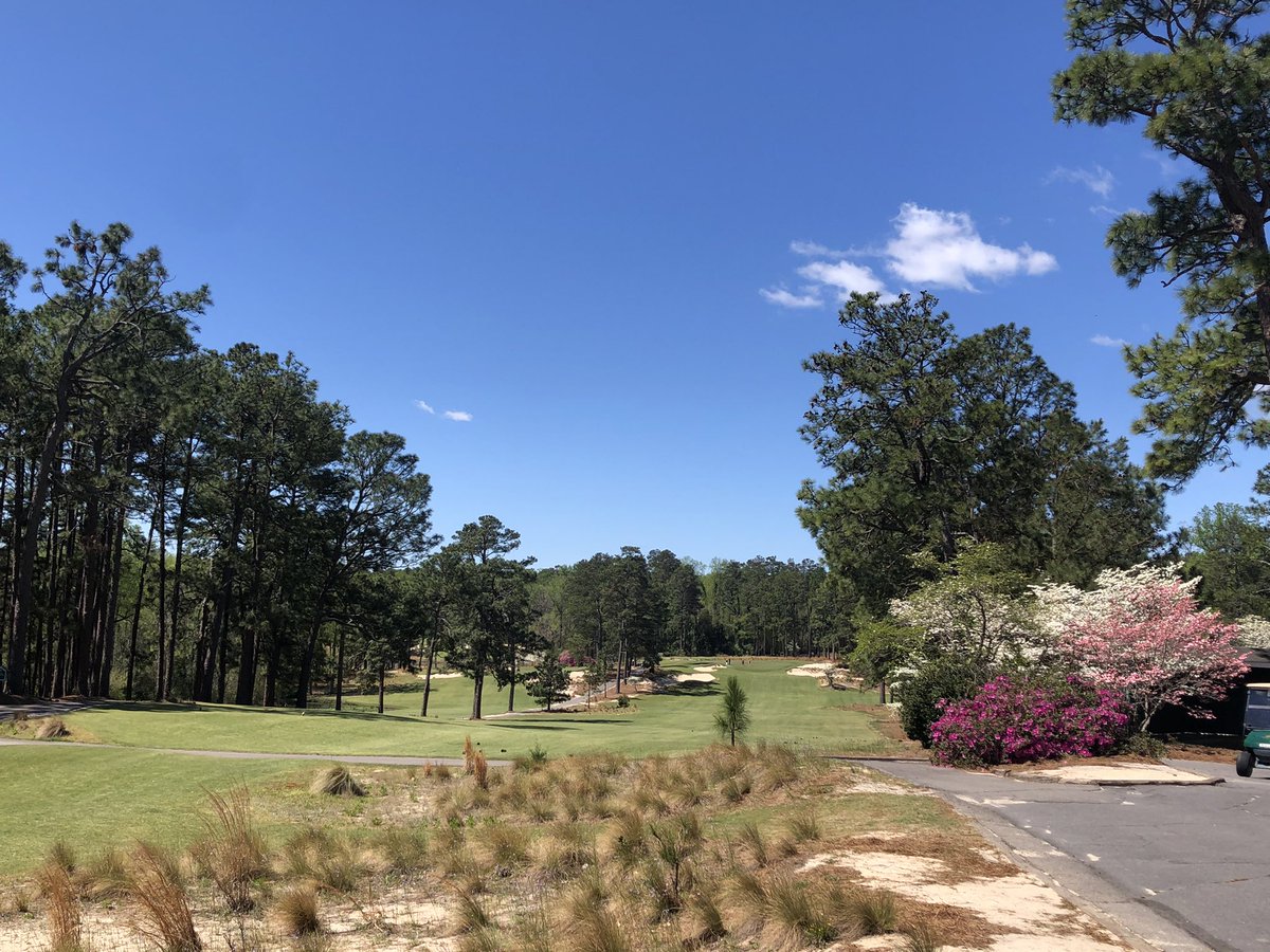 Brian Phillips tweet media