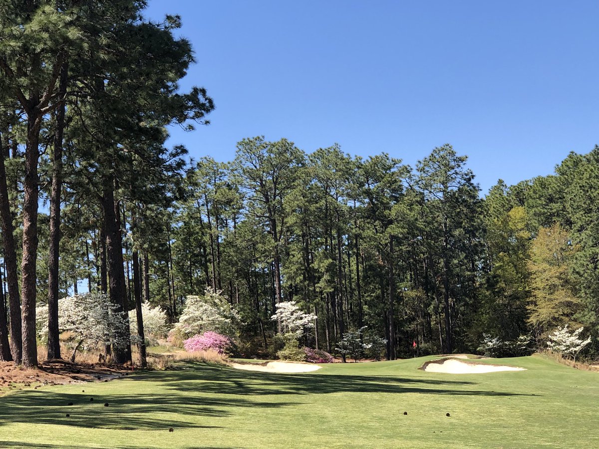 Brian Phillips tweet media