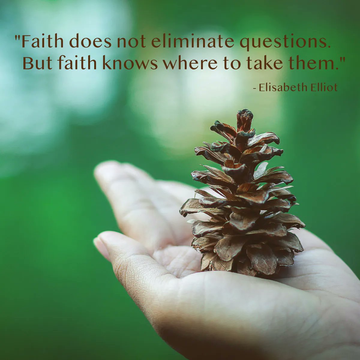 MissionViewfinder tweet media