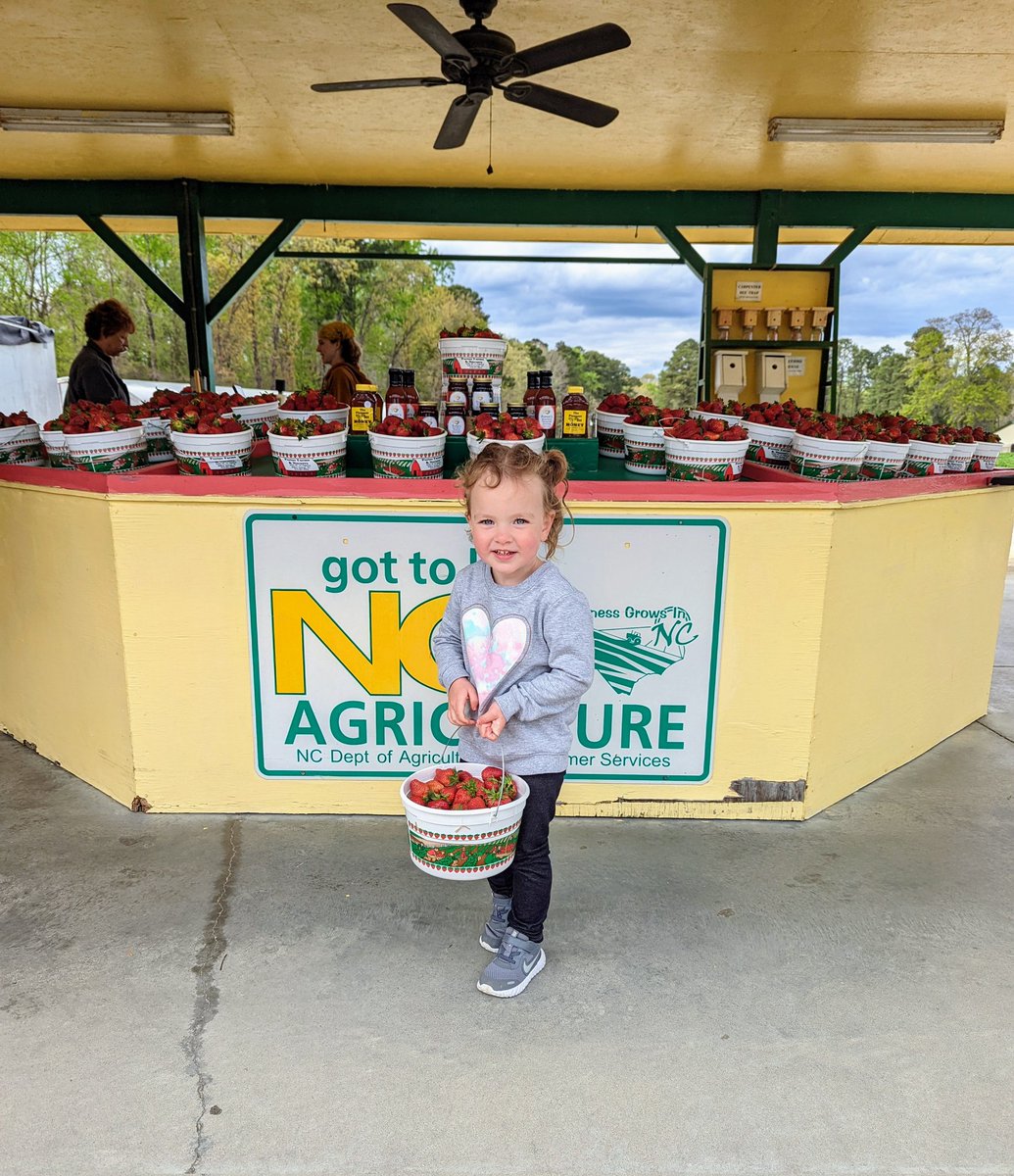 Jess Maskulka tweet media