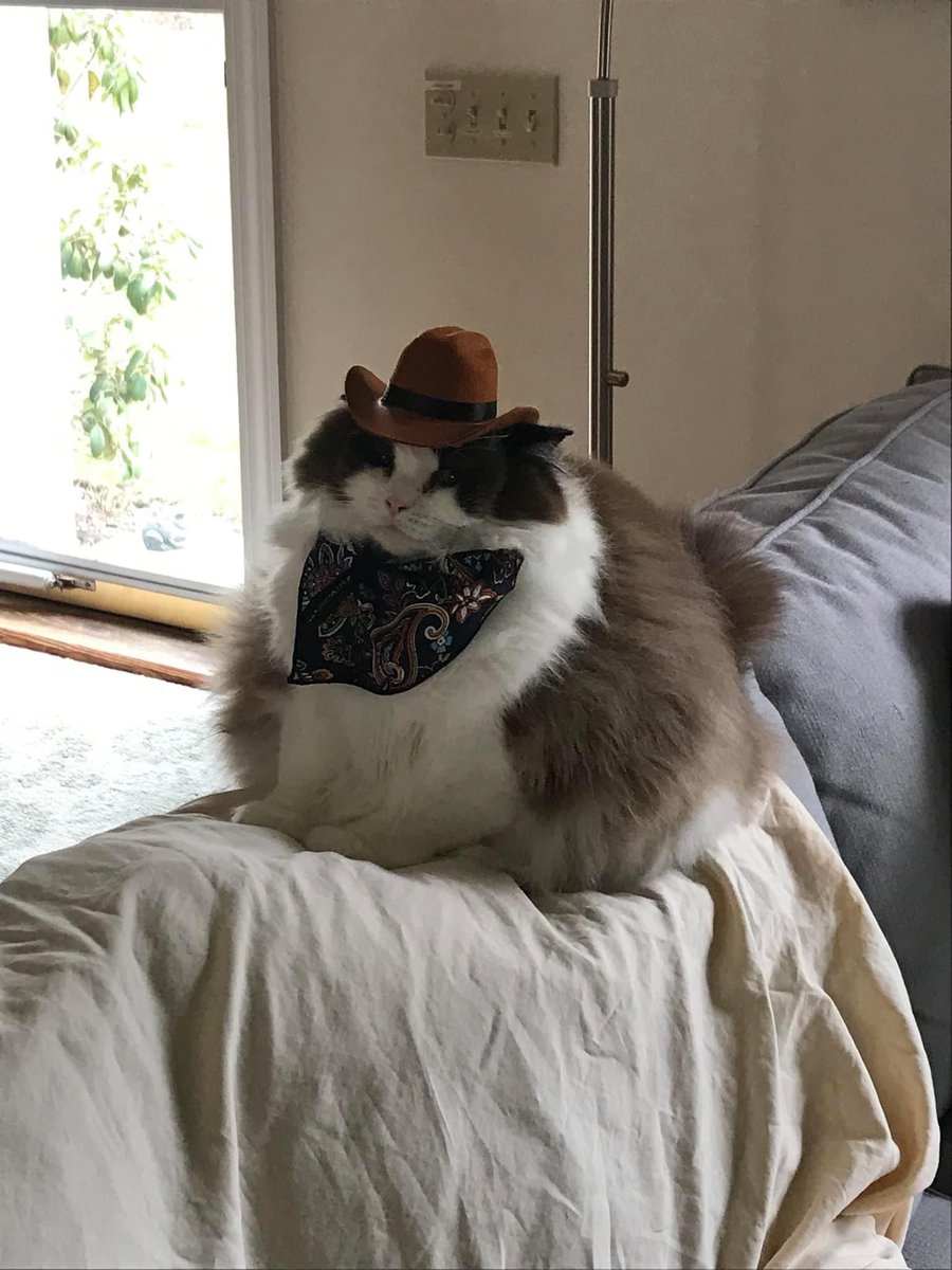 There’s a new sheriff in town