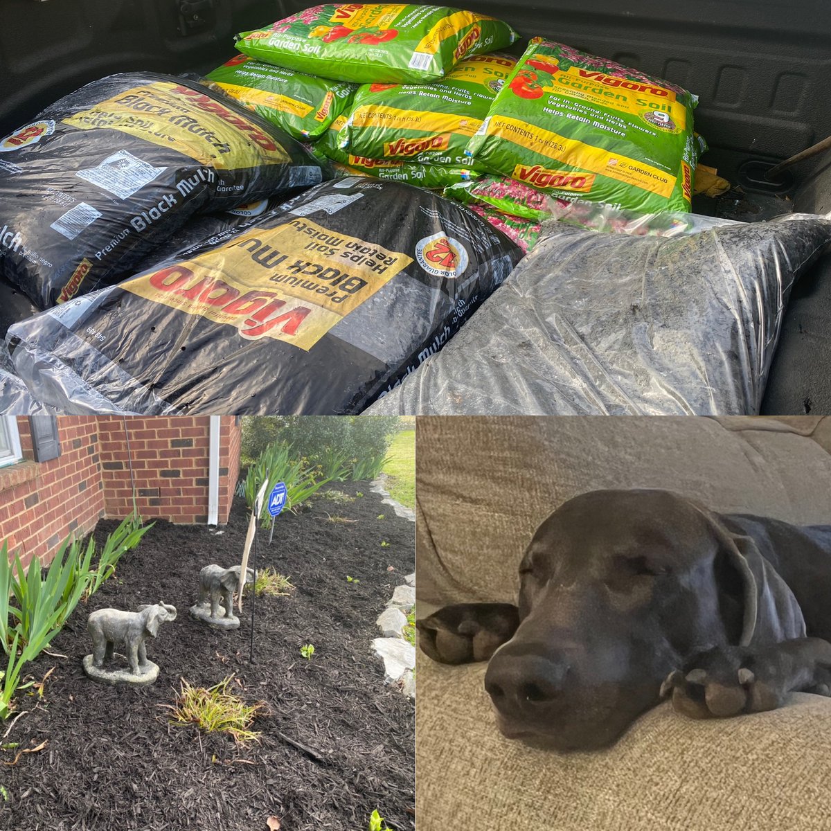 Sean Gary (@seangary_hd) on Twitter photo They say don’t take your work home with you, but this great spring weather calls for it. Lots of great deals this week, but sure has worn out my helper @wrigley_rooo #homedepotgardenclub #gardenclub #spring <a href="/BethGilbertTHD/">Beth Gilbert</a> @AndreaMcTHD @homedepot #thd #thehomedepot #0745 #Lebanon They say don’t take your work home with you, but this great spring weather calls for it. Lots of great deals this week, but sure has worn out my helper @wrigley_rooo #homedepotgardenclub #gardenclub #spring <a href="/BethGilbertTHD/">Beth Gilbert</a> @AndreaMcTHD @homedepot #thd #thehomedepot #0745 #Lebanon