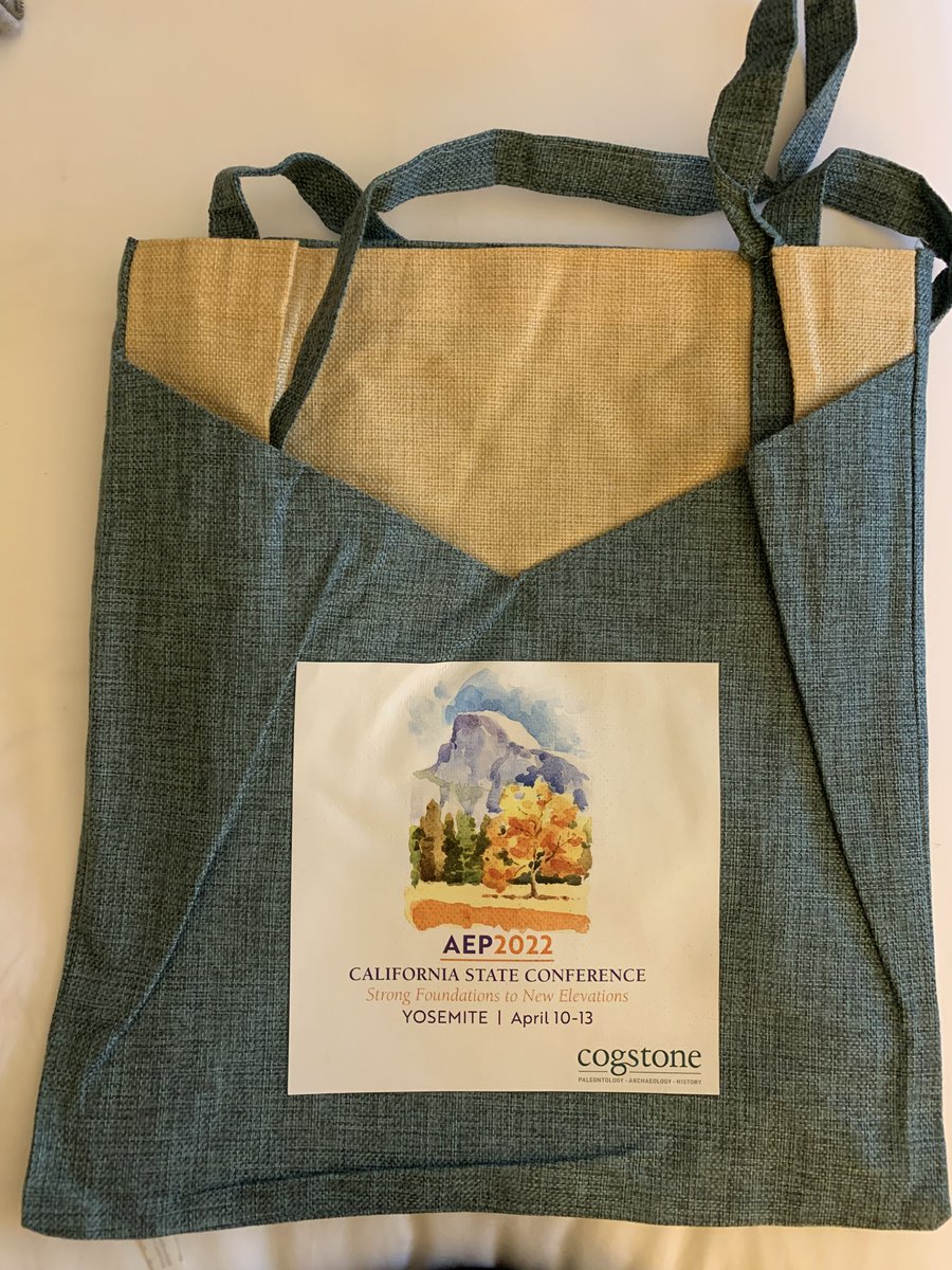Cogstone's tweet photo. Get your bag! Cogstone sponsored the bags for this year's CA AEP Conference in Yosemite. Hot of the press #schwag #getyourbag #AEP2022 https://t.co/FntBAf6rW5