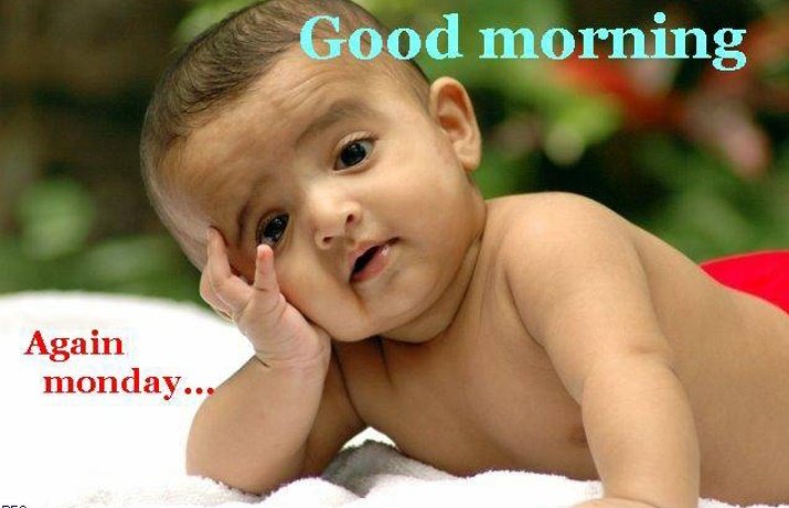 Sivachitradev's tweet photo. #AgainMonday
சோம்பேறியாக இருக்கிறது
அலுவலகத்திற்கு செல்ல வேண்டும்...😌😌
திங்கட்கிழமை ஒரு குட்டி ஞாயிற்றுக்கிழமை யாக இருந்தால் எவ்வளவு அருமையாக இருக்கும்...
💐🍫💃 https://t.co/uQgpOXtp7t
