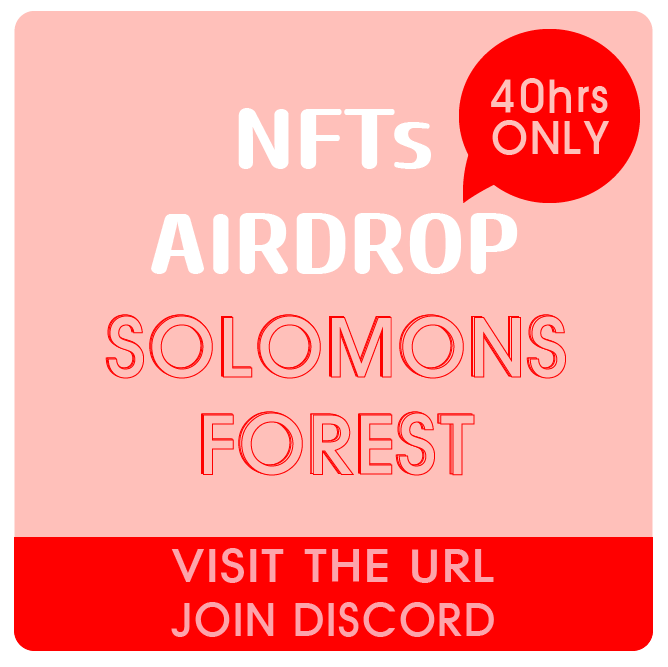 SolomonsForest tweet media