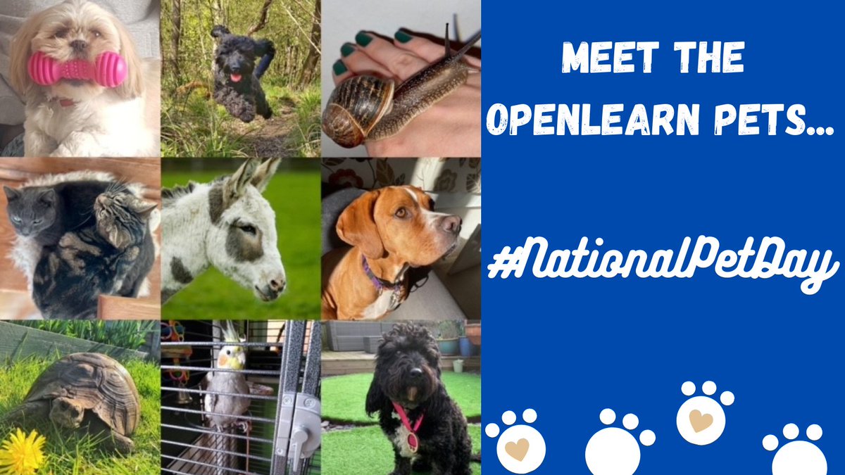 OUFreeLearning's tweet photo. Today is #NationalPetDay, so what better way to celebrate this day than to #MeetTheOpenLearnPets?

Throughout the day we'll introduce you to an OpenLearn team member's pet (23 posts coming up!) and tell you what their perfect free course, game or article is... 🐱🐶🐢🐟🐦🐌 https://t.co/OH0cN856pd