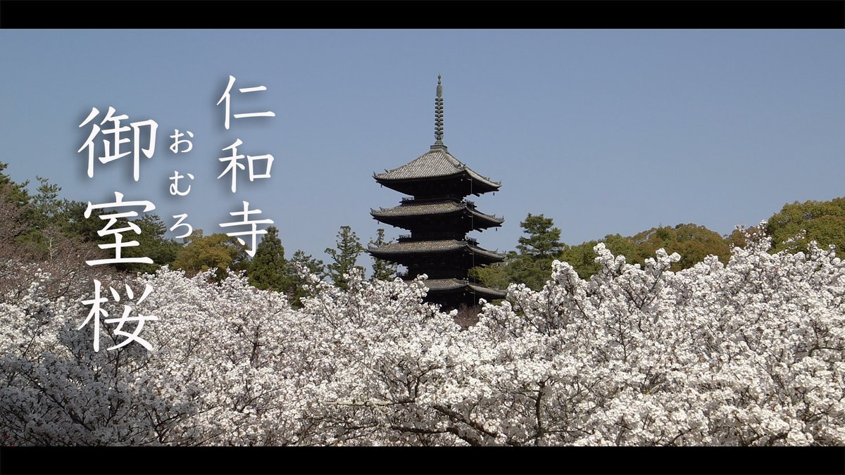 Cranem3 Twitter Search Twitter