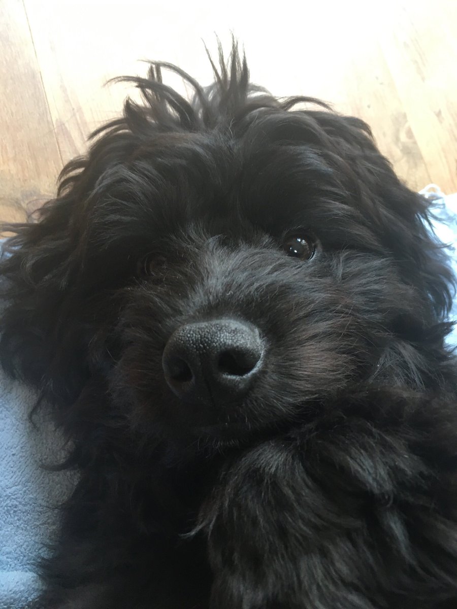BOPPIN1's tweet photo. @emmccatt Butter wouldn’t melt! https://t.co/tGW4S5QBFQ
