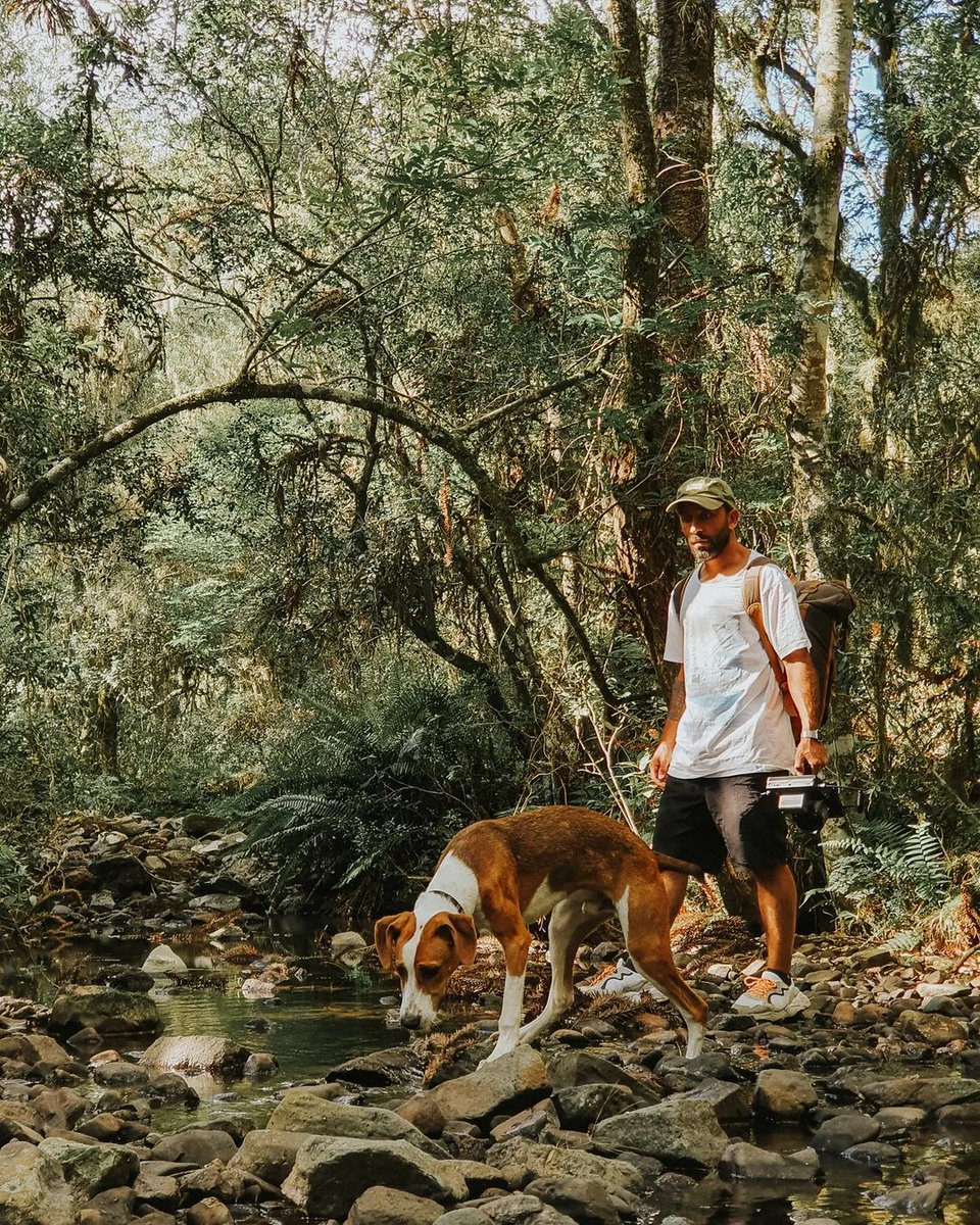 feelworldhd's tweet photo. Filming: A small journey to explore nature. #feelworldf6plus
Repost by @tulio.lahm
Learn more/order FEELWORLD products: https://t.co/YvVEhfjCyR
#feelworld #feelworldmonitor #feelworldf6plus #fieldmonitor #cameramonitor #videomonitor #cameraview #filmmaking #setlife #filmrig https://t.co/6kvbdH9cK6