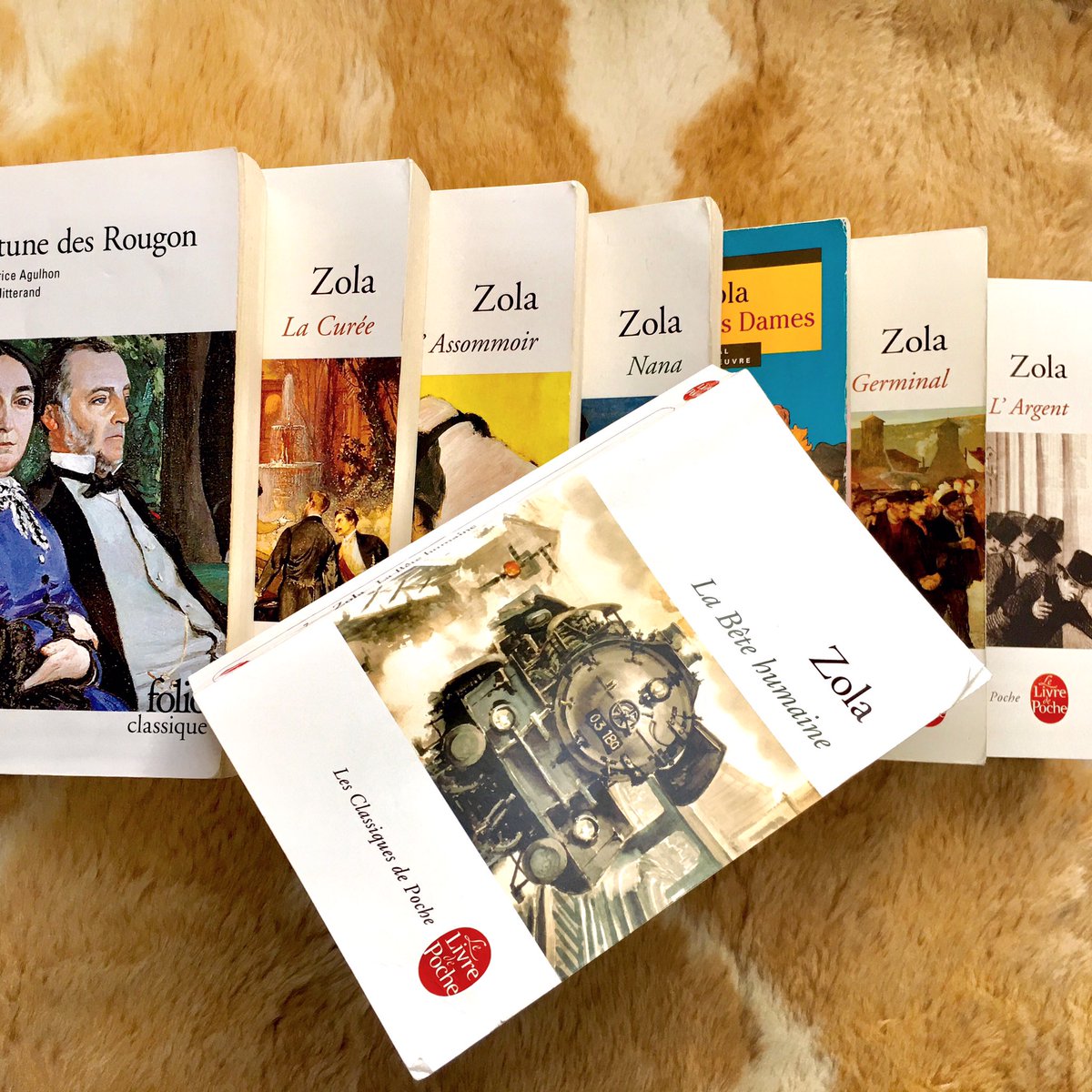 Seb_sam_b's tweet photo. Un drame violent, passionnant qui se lit comme un véritable thriller psychologique sur la ligne Paris - Le Havre ! #emilezola #labetehumaine @livredepoche #rougonmacquart https://t.co/D2aq2IO7Al