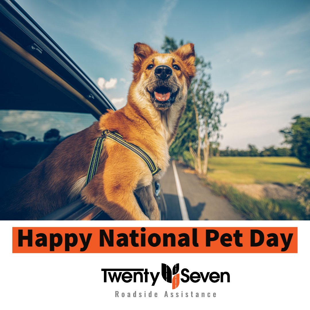 Happy #NationalPetDay 🐈🐕🐇
Here are some tips for travelling with your pets:

- Travelling at cooler times can make it easier on your pets; these tend to be early morning or later in the evening
- Make sure to stop regularly and offer them plenty of water!

#dogsoftwitter