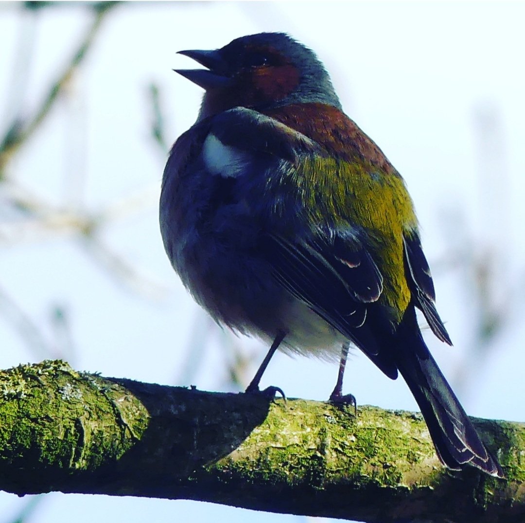 Greetje19's tweet photo. #Dwingelderveld ♡ #gisteren
Een dag met een lach en traan https://t.co/yS1JoNpc8Z