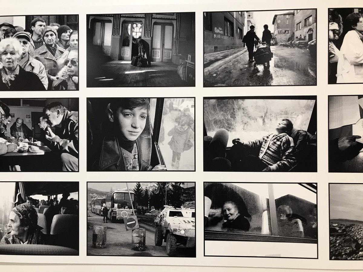 Matt Field tweet media